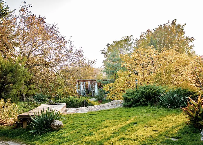 Kastello Willa Nagykozar